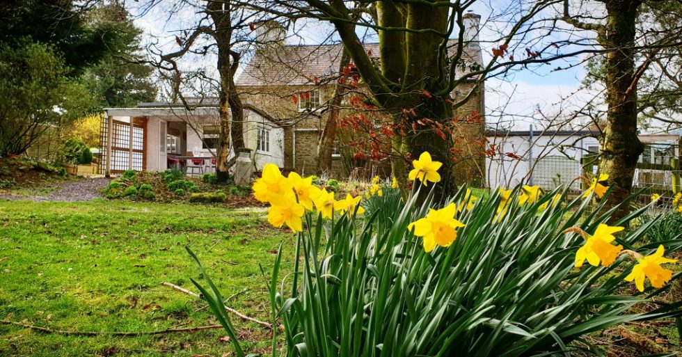 RATES The Swallows Guest House